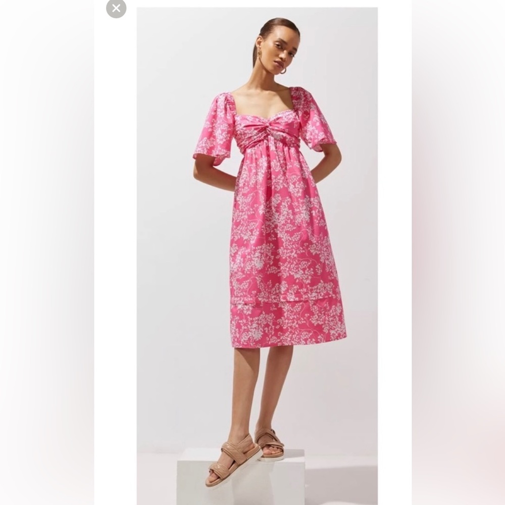 Peter Som for Anthropologie Pink Floral Dress
